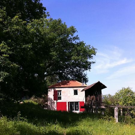 Eira Das Carvalhas Penafiel Exterior foto