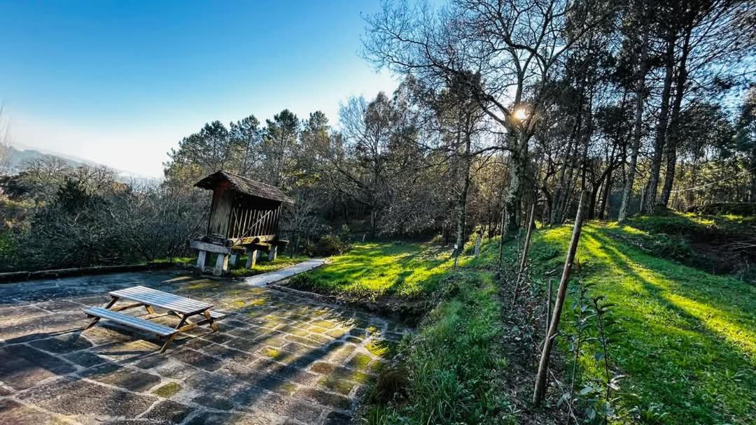 Eira Das Carvalhas Penafiel Exterior foto