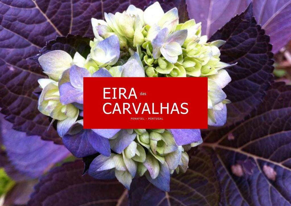 Eira Das Carvalhas Penafiel Habitación foto