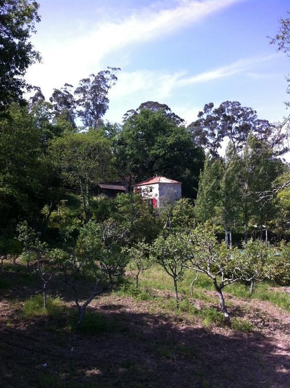 Eira Das Carvalhas Penafiel Habitación foto